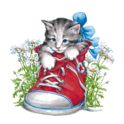 36609 - Kotě v botě